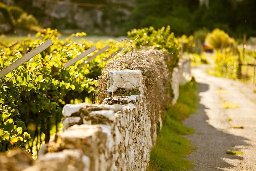 Hotel Continental - Tonelli Hotels Torbole Sul Garda Dış mekan fotoğraf